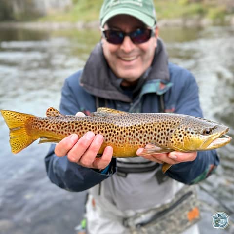 S7, Ep 89: Fall Fishing Forecast: George Costa's Insights on Low Water and Seasonal Strategies