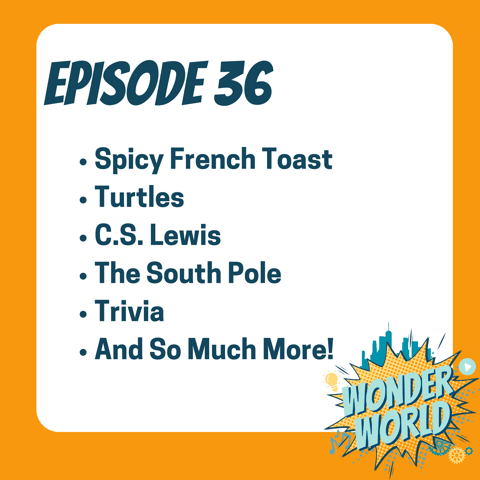 Wonder World Podcast Monday, November 27