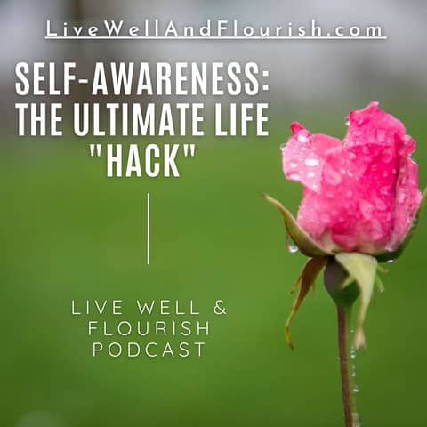 Self-Awareness: The Ultimate Life "Hack"?