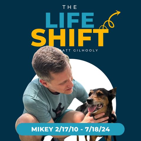 Coping with Pet Loss: Saying Goodbye to Mikey Coping with Pet Loss: Saying Goodbye to Mikey