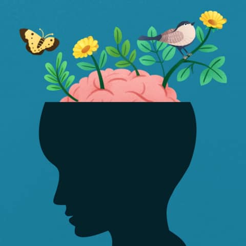 The Whole-Brain Child Free Book Review: A Comprehensive Summary