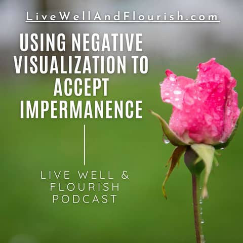 Using negative visualization to accept impermanence (Five Minute Flourishing)
