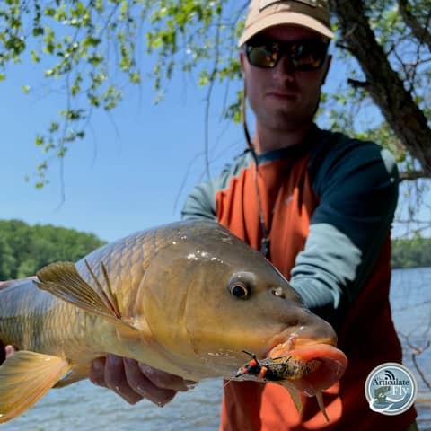 S3, Ep 81: Southwest VA Fishing Report with Matt Reilly