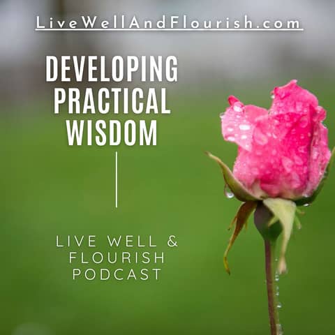 Practical Wisdom and Living a Flourishing Life