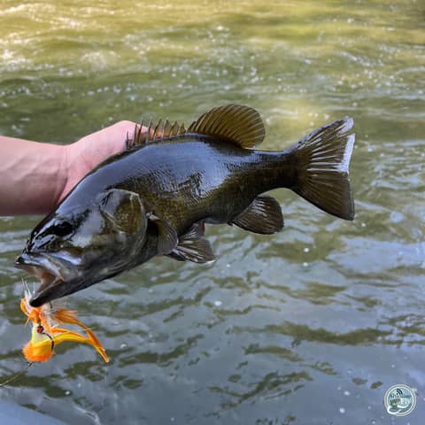 S6, Ep 115: Fall Smallie Fishing and Boat Snacks: Brendan Ruch's Angling Advice