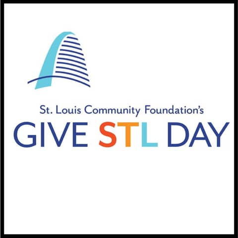 Supporting Nonprofits: GiveSTL Day and the Power of Giving Back