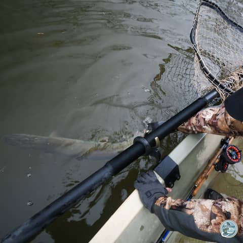 S7, Ep 12: Cold Water Chronicles: Insights on Musky Fishing and Streamer Techniques with Matt Reilly