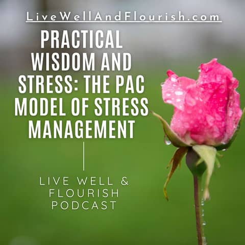 The PAC model of stress management