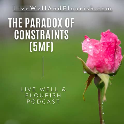 The Paradox of Creativity and Constraints