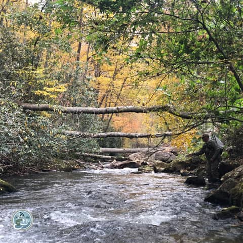 S3, Ep 157: Western NC Fishing Report with Tuckaseegee Fly Shop