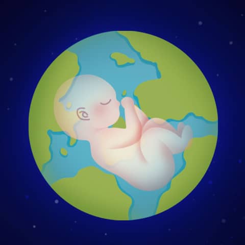 A Short History of Nearly Everything: The Curious Journey