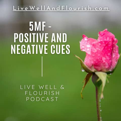 Positive and negative cues (Five Minute Flourishing)