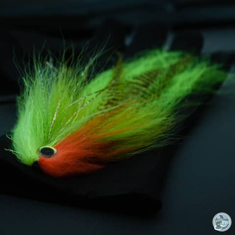 S4, Ep 160: Southwest VA Fishing Report with Matt Reilly