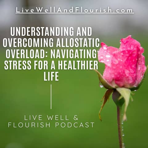 Understanding and Overcoming Allostatic Overload: Navigating Stress for a Healthier Life