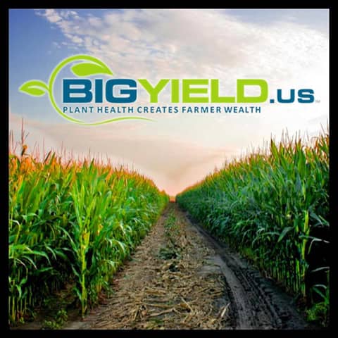 Beyond the Fields: The Reality of Organic Versus Conventional Farming