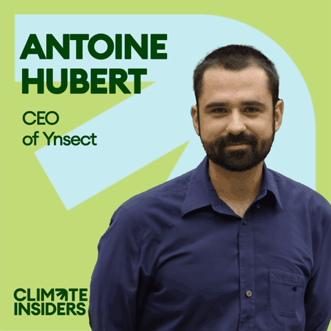 Ynsect - Lessons from building the world's largest insect farming company with Antoine Hubert