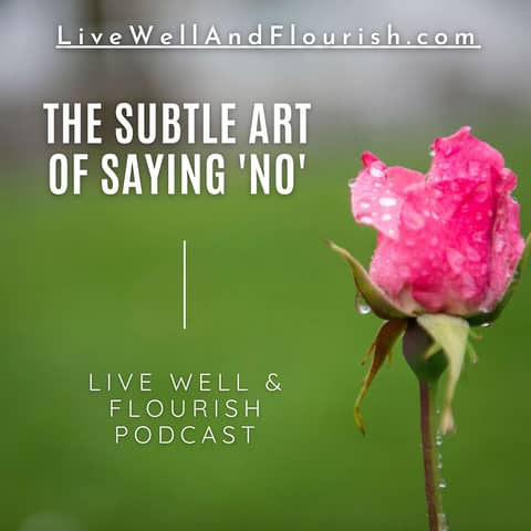 The Art of Saying No: A Guide to Graceful Refusals