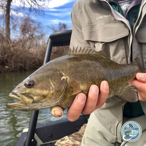 S4, Ep 43: Southwest VA Fishing Report with Matt Reilly