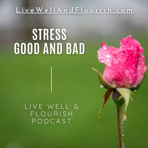 Stress, Good and Bad: How Eustress Can Help You Flourish