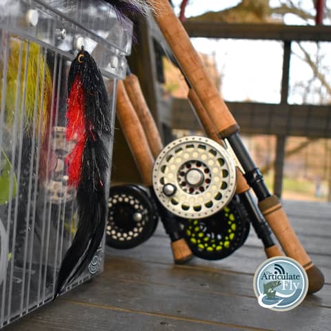 S2, Ep 129: Southwest VA Fishing Report with Matt Reilly