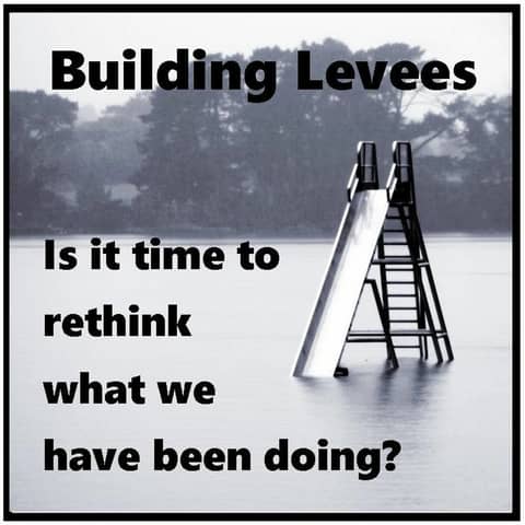 Part I: To Levee or Not To Levee? That is the Question, But What is the Answer?