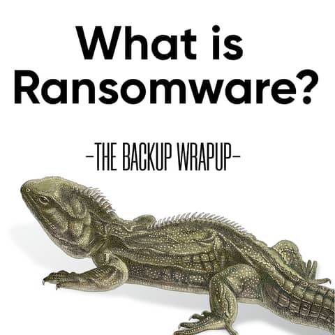 What Is Ransomware and Why Should You Care?