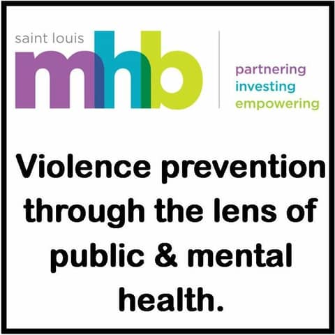 Addressing Violence Prevention as a Public & Mental Health Issue