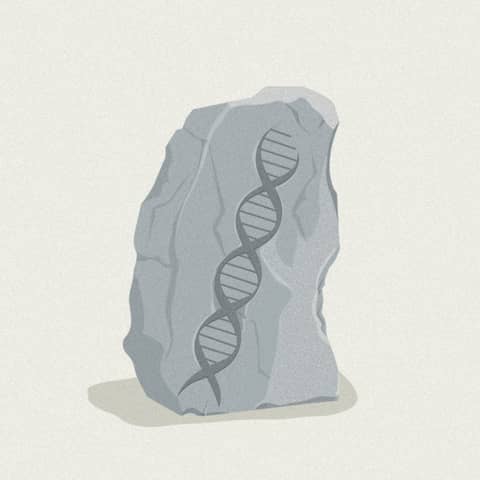 The Definitive Argument: Why Evolution is Undeniably True