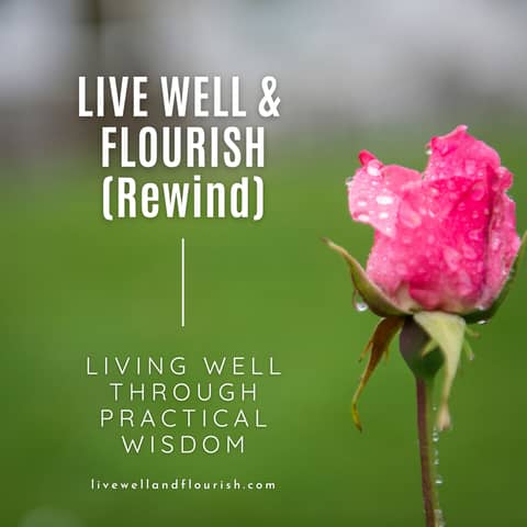 The Power of Small Things: The Small Wins Strategy of Change (rewind)