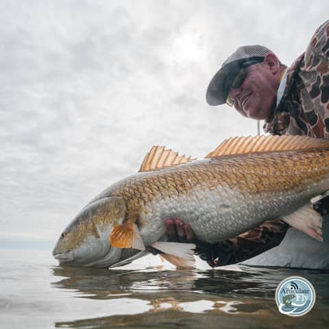 S3, Ep 61: Cameron Mortenson of The Fiberglass Manifesto