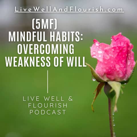 Mindful Habits: Using Habits to Overcome Weakness of Will