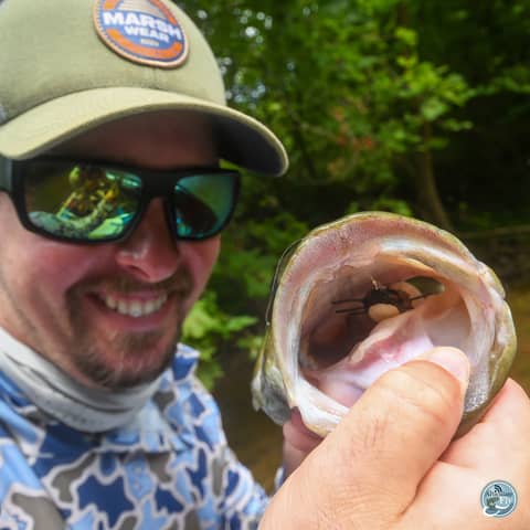 S6, Ep 112: Smallmouth Transitions and Musky Prep: Matt Reilly's Southwest VA Update