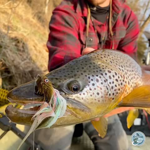 S4, Ep 21: Southwest VA Fishing Report with Matt Reilly