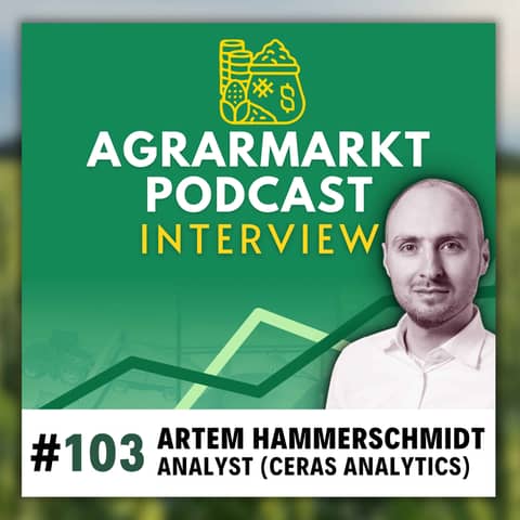 Hoffnung trotz Abverkauf - Deepdive mit Artem von Ceras Analytics