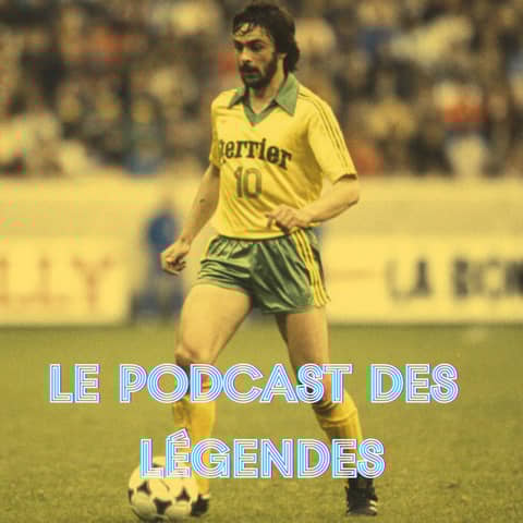 Le Meneur de Jaunes  - Gilles Rampillon