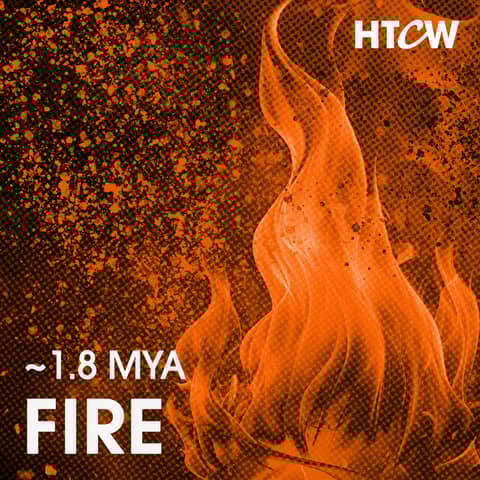 [~1.8 Mya] - Fire: The Innovation that Forged Humanity and Sparked World Domination