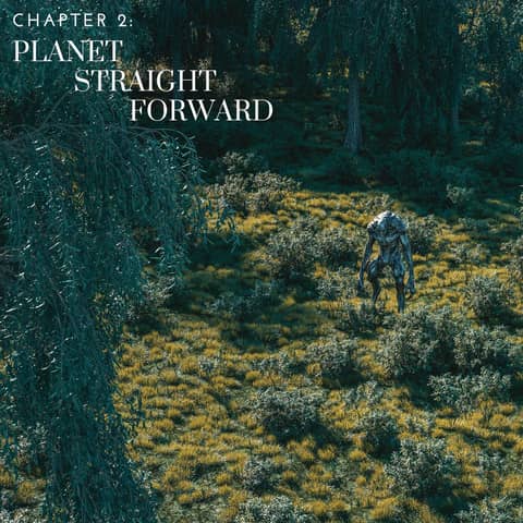 Chapter 2: Planet Straightforward