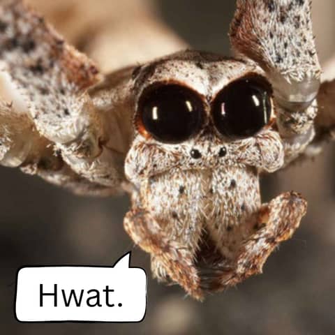 58: Not Horse Eating Size