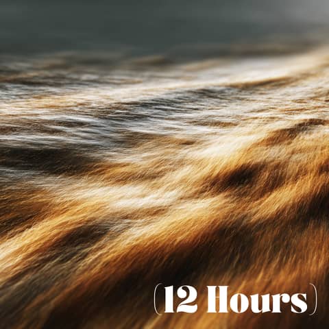 Delta Drift Brown Noise | Sleep Sound (12 Hours)