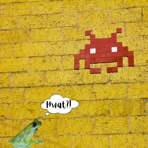 63: Deep Sea Yeti Crab Club Med Situation