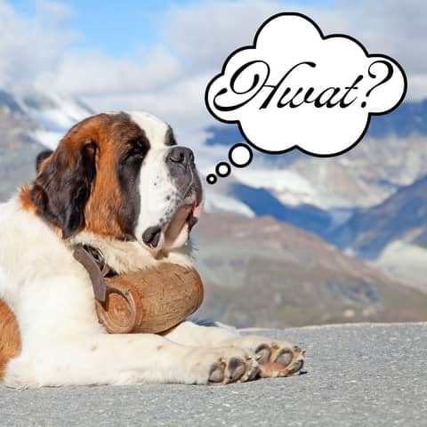 61: Norwegian Cheaters