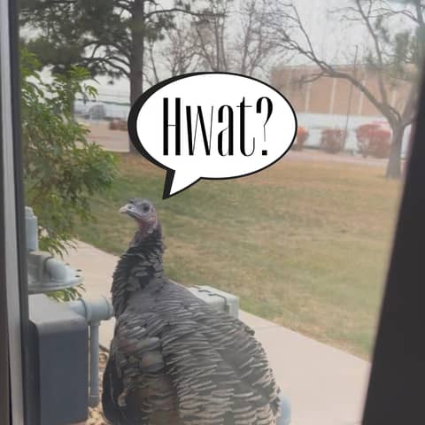 66: 100% Safe to Drink