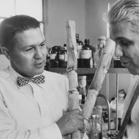 #721 El Plan Chardón y la industria azucarera en Puerto Rico (1934-1940)