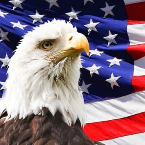 #445 La nueva historia de Estados Unidos