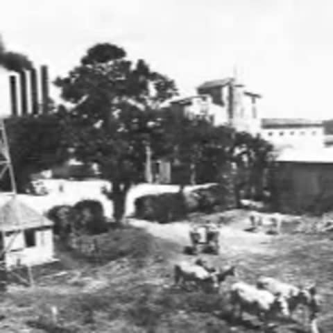 #398 La Hacienda Monserrate de Manatí