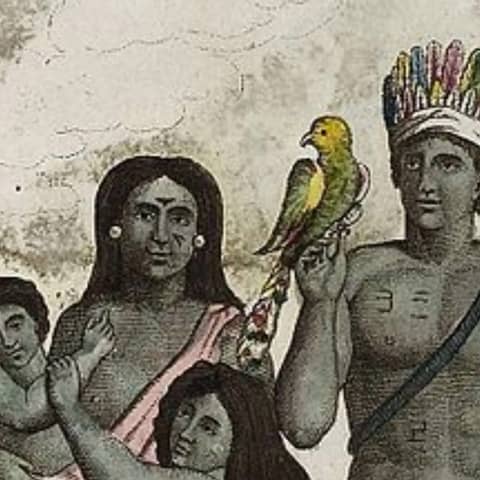 #395 Los indios caribes de las Antillas Menores