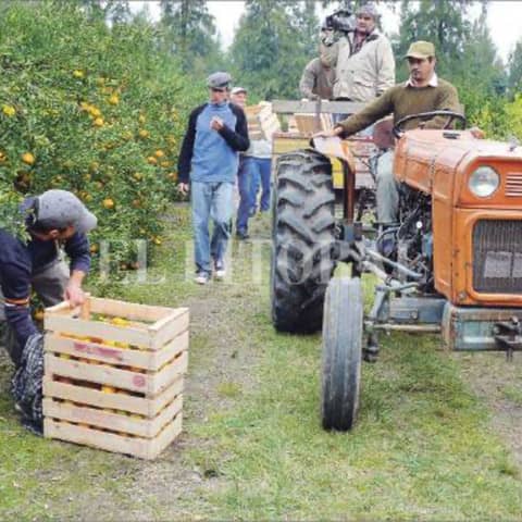 #383 El cooperativismo y la soberanía alimentaria
