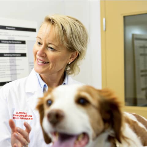 #13: Communication: It's NOT a soft skill! Prof. Cindy Adams