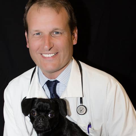 #22: Be a mentor, be a boss, with Dr. Dan Markwalder