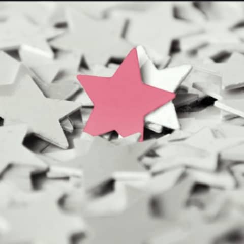 The Paradox of being exceptional: Vet Vault Quickie with Dr. Oliver Liyou.